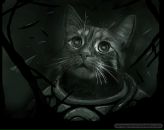 Валерій Мацкевич фотография #13 (источник - https://vk.com/id7560866)