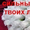 Світлана Хомич фотография #13 (источник - https://vk.com/id142214747)
