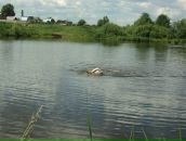 Фотография Иваниченко Алены