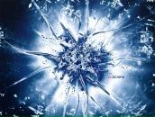 Фотография Кокорева Александра