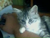 Антон Баркетаў фотография #42 (источник - https://vk.com/id16426410)