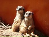 Фотография Хаянена Сергея