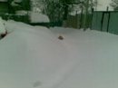 Антон Симаков фотография #40 (источник - https://vk.com/id2246306)