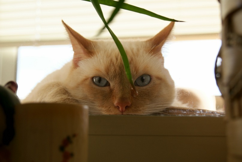 Luw L фотография #36