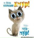 Фотография Аркадьевой Олеси