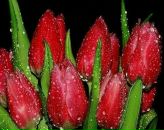 Анастасія Полевик фотография #40 (источник - https://vk.com/id15078244)