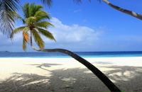 Слим Лю фотография #10 (источник - https://vk.com/id899625)