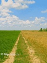 Ігор Олійник фотография #10 (источник - https://vk.com/id134511289)