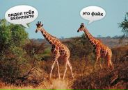 Юрок Куропаткін фотография #32 (источник - https://vk.com/id45733476)