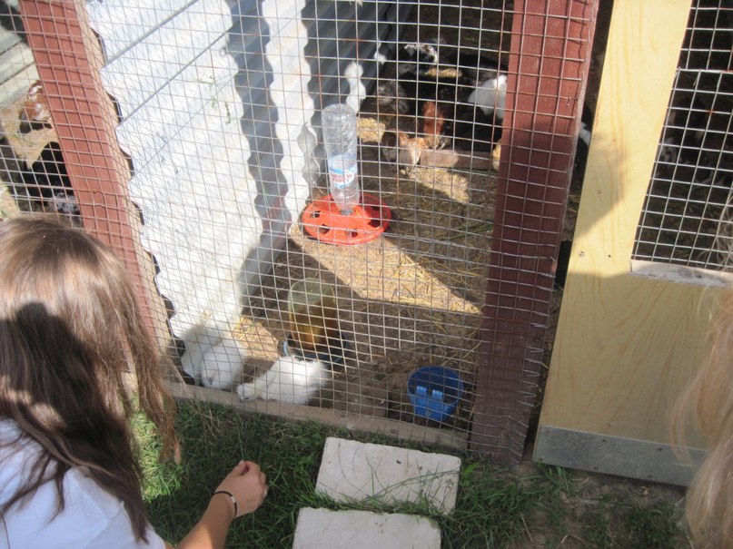 Наталья Гринёва фотография #40