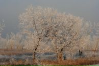 Yuri Bishaev фотография #6 (источник - https://vk.com/id770221)