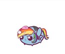 Rainbow Dash фотография #10 (источник - https://vk.com/id171964456)