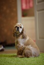 Андрій Жицький фотография #7 (источник - https://vk.com/id7424864)