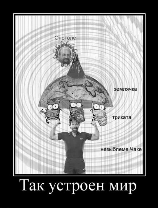 Искандер Реднакси фотография #26