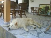 Фотография Кочетковой Екатерины