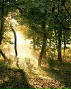 Іра Тулайдан фотография #43 (источник - https://vk.com/id138826641)