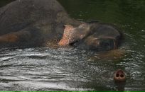 Даша Дашина фотография #33 (источник - https://vk.com/id2891457)