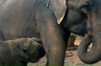 Даша Дашина фотография #16 (источник - https://vk.com/id2891457)