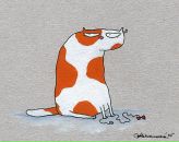 Фотография Янович Марины