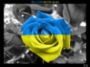 Вова Націоналіст фотография #18 (источник - https://vk.com/id102363994)