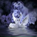 Юлія Вовчок фотография #27 (источник - https://vk.com/id133024497)