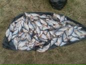 Фотография Гордеева Руслана