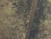 Віка Клубніка фотография #27 (источник - https://vk.com/id111940287)