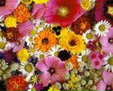 Фотография Тулина Алексея