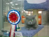 Фотография Сергеича Сергея