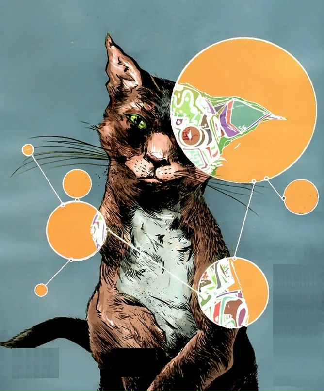 Кирилл Князев фотография #12