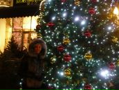 Фотография Малкус Елены