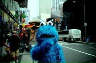 Фотография  