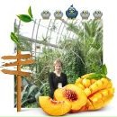 Фотография Киселёвой Натали