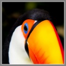 Фотография Жигалова Павла