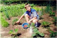 Фотография Дуплякина Максима