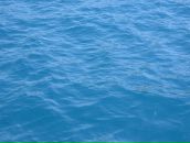 Фотография Киселева Александра