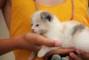 Ксюша Пименова фотография #7 (источник - https://vk.com/id16414891)