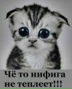 Фотография Калиниченко Юлии