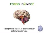 Фотография Валерича Михаила