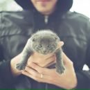 Фотография Garbuzov Sasha