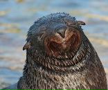 Фотография Мун Иветы