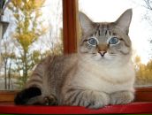 Фотография Бурцевой Анастасии