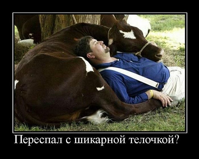 Дмитрий Гончаров фотография #9