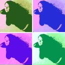 Фотография Поздеевой Ксении