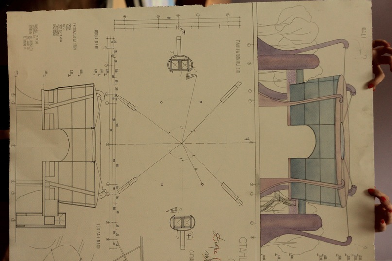 Поля Поля фотография #20