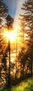 Фотография Аксубаева Юрия
