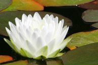 Фотография Шапран Дмитрий