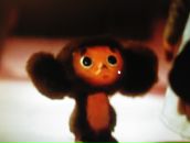 Фотография Макаровой Дарьи