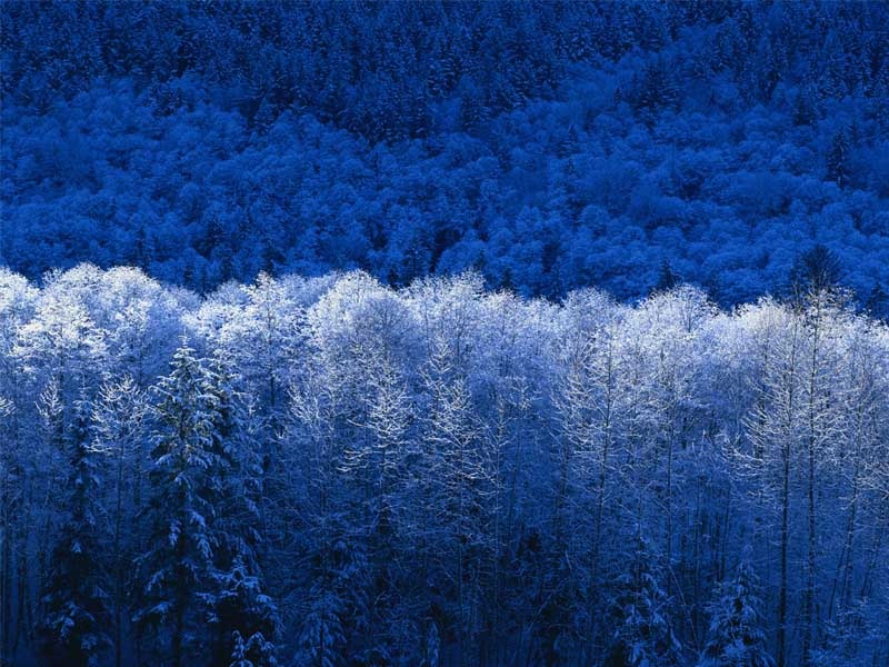 Константин Пименов фотография #7