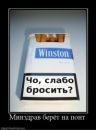 Фотография Исупова Александра